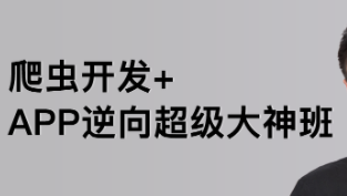 路飞爬虫开发+app逆向大神班1-8期|完结无秘