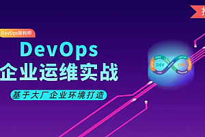李振良Python DevOps运维开发实战集训营【中级班】|完结无秘