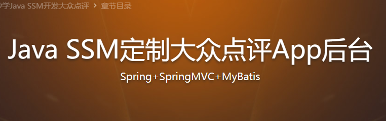 IT段子手详解MyBatis遇到Spring 秒学Java SSM开发大众点评