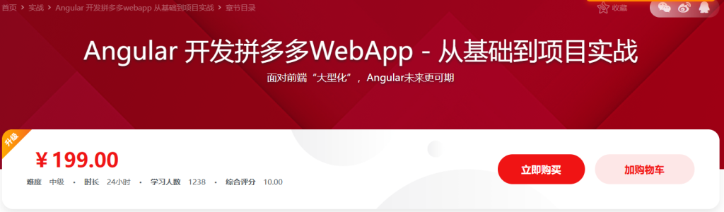 Angular8开发拼多多webapp 从基础到项目实战