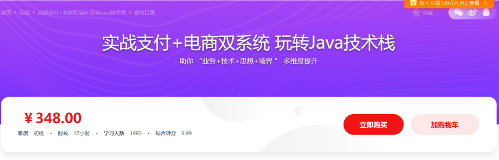 Java通用型支付+电商平台双系统实战