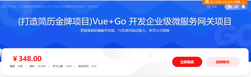 Vue+Go前端后端一体化 企业级微服务网关项目