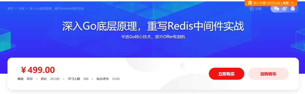 深入Go底层原理，重写Redis中间件实战