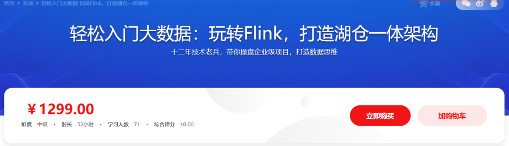 轻松入门大数据：玩转Flink，打造湖仓一体架构