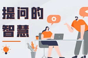 提问的智慧