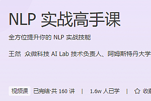 NLP实战高手课