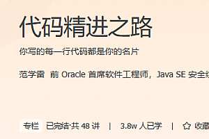 极客 代码精进之路