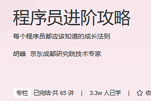 程序员进阶攻略 极客