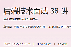 后端技术面试38讲 极客