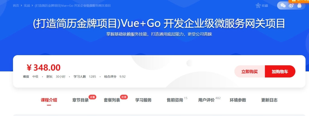 (打造简历金牌项目)Vue+Go 开发企业级微服务网关项目