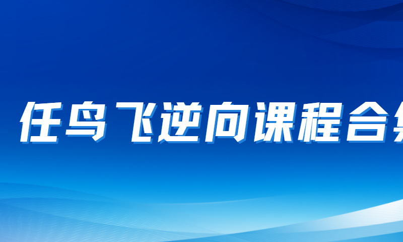 任鸟飞逆向课程合集