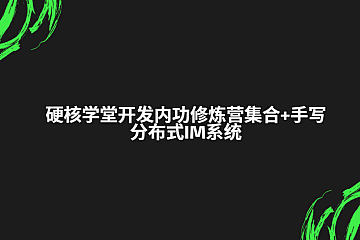 硬核学堂-开发内功修炼营集合+手写分布式IM系统