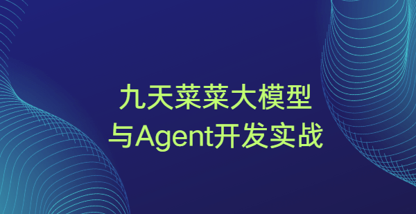 九天菜菜大模型与Agent开发实战