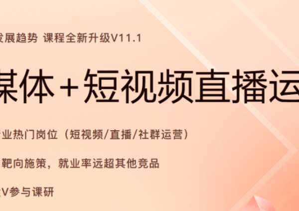 2024年11月版黑马新媒体+短视频直播课程