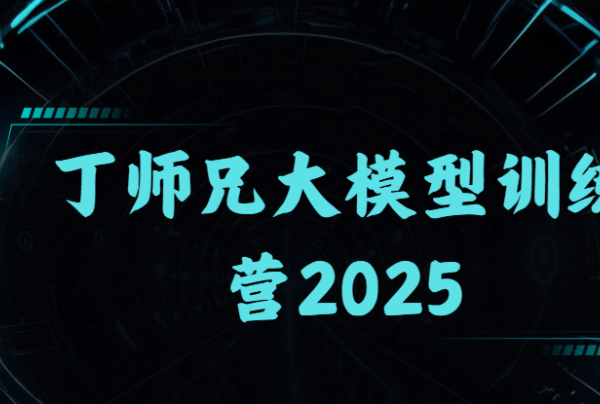 丁师兄大模型训练营2025|口碑超强